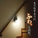 ELPA もてなしのあかり LED明暗人感センサーライト 吊りさげ型 HLH-2205 【送料無料】