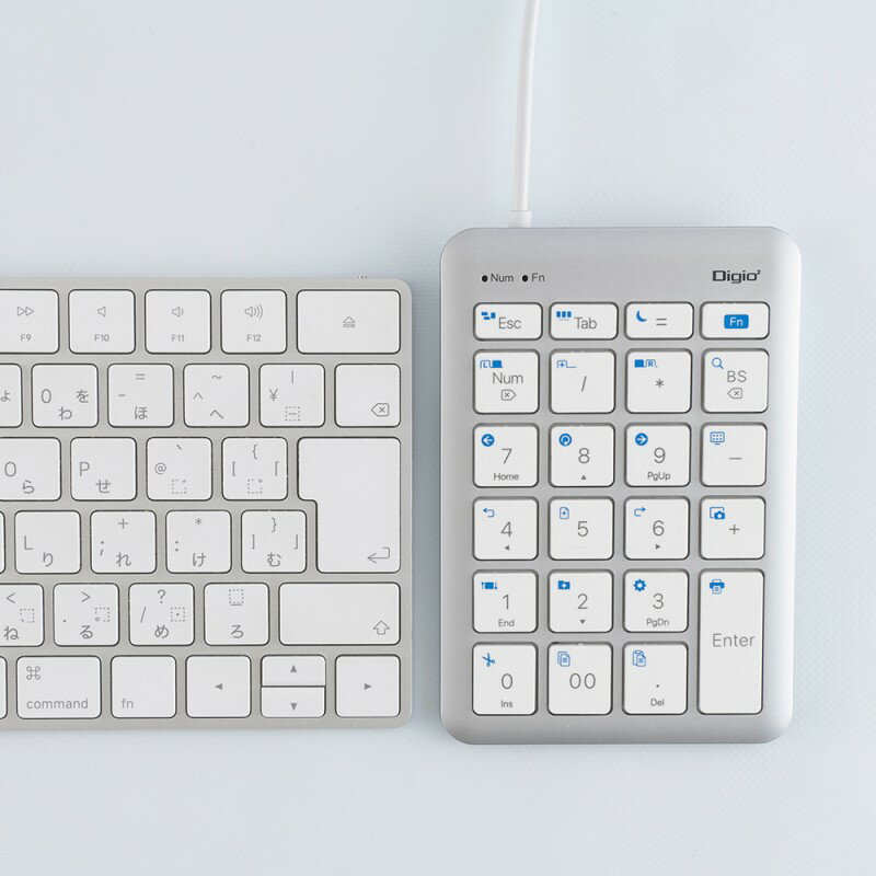 ナカバヤシ USB テンキーボード シルバーホワイト 22ショートカット付 有線 USB Type-A TNK-SU236SLW 【送料無料】