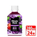 ミニッツメイド グレープブレンド 鉄分 280ml ペットボトル 24本入(1ケース) コカコーラ 【代引き不可】【送料無料】