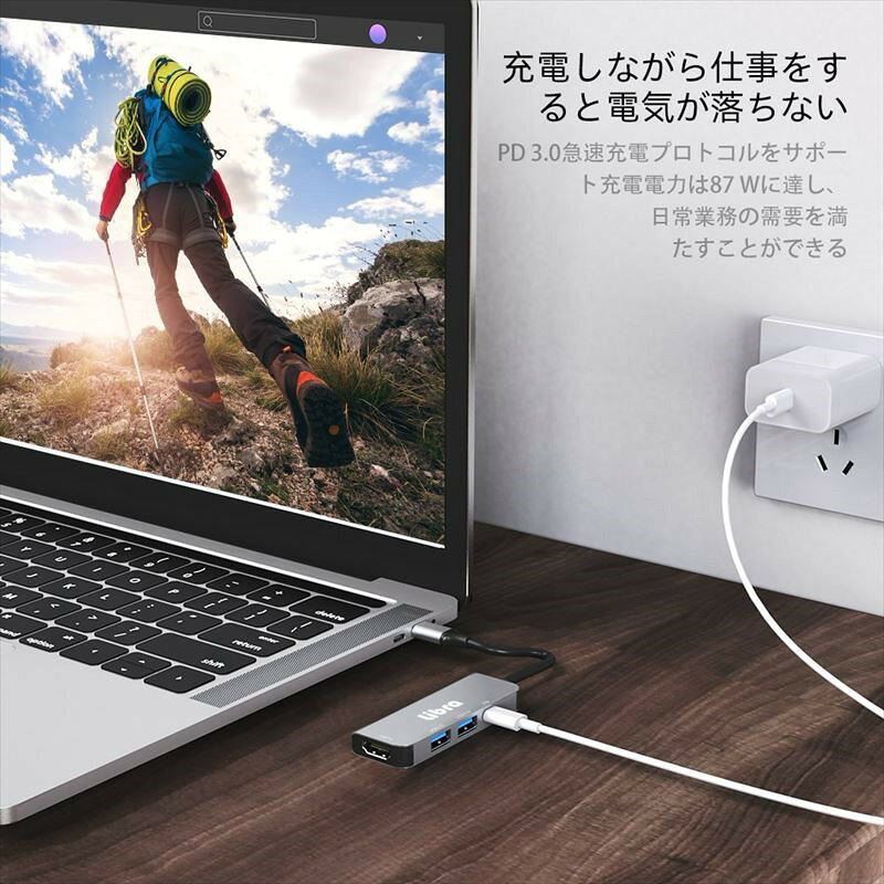 Libra USB Type-C対応 4in1 ドッキングステーション HDMI 4K対応 USBハブ 3ポート付き 軽量 コンパクト 高速データ転送 テレワーク ノートPC対応 LBR-TC4DS 【メール便送料無料】