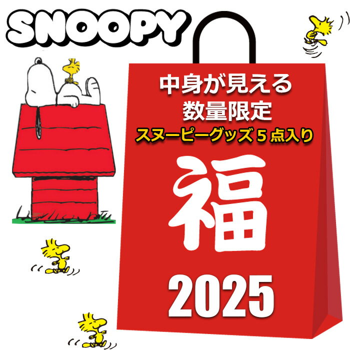 スヌーピー 福袋 2025 中身が見える 5点入り シリコン がま口ポーチ のびのび ソックス レディース キッズ 女の子 男の子 かわいい おしゃれ コインケース 小銭入れ 小物入れ 靴下 まとめ売り キャラクターグッズ グッズのサムネイル
