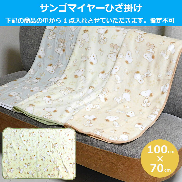 スヌーピー 福袋 2025 中身が見える 4点入り ブランケット パスケース のびのび ソックス 巾着 レディース キッズ 女の子 男の子 かわいい おしゃれ ひざ掛け 毛布 リール付き 定期入れ 靴下 ミニ巾着 まとめ売り キャラクターグッズ グッズ