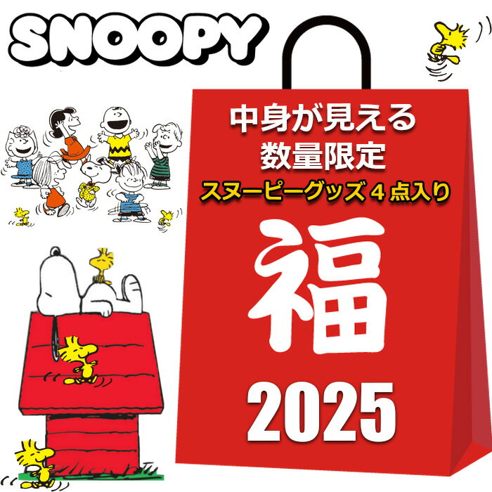 スヌーピー グッズ 福袋 2025 中身が見える 4点入り コーデュロイ トートバッグ ひざ掛け ブランケット リール付き パスケース 巾着袋 レディース キッズ 女の子 男の子 かわいい おしゃれ まとめ売り キャラクターグッズ