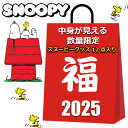 スヌーピー 福袋 2025 中身が見える 12点入り クッション トートバッグ メッセンジャーバッグ 保冷バッグ ペットボトルホルダー がま口ポーチ ガラスコッ...