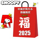 スヌーピー 福袋 2025 中身が見える 5点入り レディース キッズ お得 男の子 女の子 ペットボトルホルダー のびのび ソックス 靴下 ミニ 巾着 まとめ...