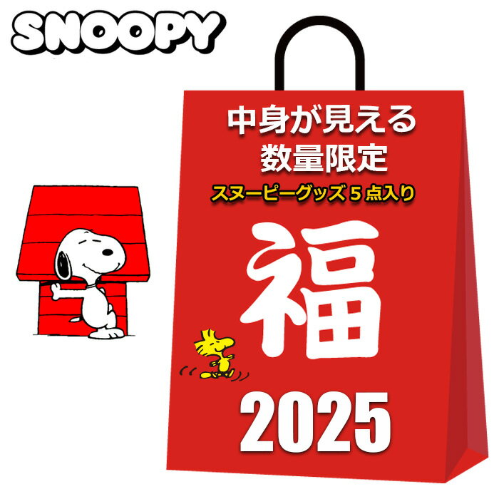 スヌーピー 福袋 2025 中身が見える 5点入り がま口 ポーチ コインケース 小銭入れ のびのび ソックス 靴下 レディース キッズ 女の子 男の子 かわいい おしゃれ まとめ売り キャラクターグッズ グッズ
