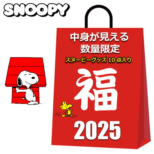 スヌーピー 福袋 2025 中身が見える 10点入り クッション 保冷バッグ ショルダーバッグ トートバッグ ランチバッグ ペットボトルホルダー カフェカップ ブランケット ソックス 巾着袋 レディース キッズ 女の子 まとめ売り キャラクターグッズ グッズ スヌーピー 福袋 2025 中身が見える 10点入り クッション 保冷バッグ ショルダーバッグ トートバッグ ランチバッグ ペットボトルホルダー カフェカップ ブランケット ソックス 巾着袋 レディース キッズ 女の子 まとめ売り キャラクターグッズ グッズ