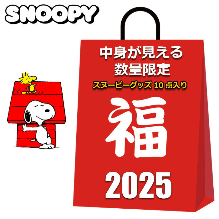 スヌーピー 福袋 2025 中身が見える 10点入り クッション 毛布 ひざ掛け ブランケット リュック 保冷バッグ ランチバッグ エコバッグ マザーズバッグ カフェカップ 靴下 巾着 レディース キッズ 女の子 大人 女性 まとめ売り かわいい おしゃれ キャラクターグッズ グッズ