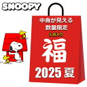 スヌーピー 福袋 2025 夏 中身が見える 5点入り レディース キッズ お得 男の子 女の子 ブランケット のびのび ソックス 靴下 ミニ 巾着 まとめ売り キャラクターグッズ かわいい おしゃれ ひざ掛け ソックス 小物入れ 便利グッズ SNOOPY グッズ|詳細画像