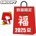 スヌーピー 福袋 2025 夏 15点入り スヌーピーグッズ バッグ 雑貨 小物 その他グッズ かわいい おしゃれ まとめ売り キャラクターグッズ グッズ レディース キッズ 女の子 男の子