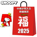 スヌーピー 福袋 2025 中身が見える 12点入り ブランケット 水筒 リュック ショルダーバッグ 保冷バッグ エコバッグ コインケース 小銭入れ ソックス 巾着袋 レディース キッズ 女の子 まとめ売り キャラクターグッズ グッズ|詳細画像