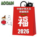 ムーミン 福袋 グッズ 2025 2026 3点入り 中身が見える スエード調 舟形ポーチ キーポーチ のびのび ソックス 靴下 レディース 女性 キッズ 女の子 まとめ売り MOOMIN 雑貨 夏 冬 クリスマス プレゼント リトルミイ リトルミィ スナフキン ニョロニョロ お得 お買得