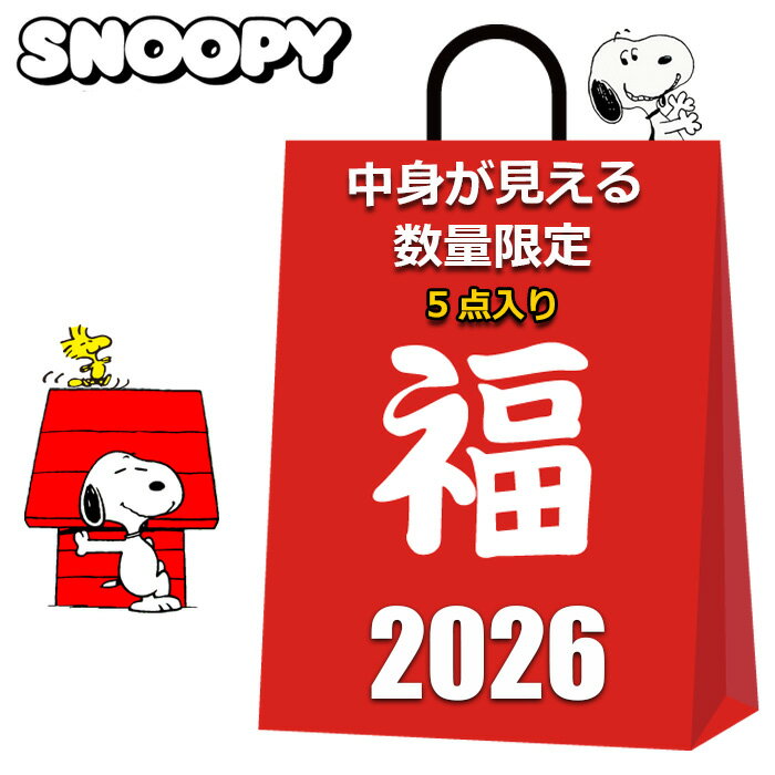 スヌーピー 福袋 2025 2026 中身が見える 5点入り トートバッグ 巾着 のびのび ソックス 靴下 レディー..