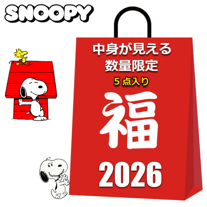 スヌーピー 福袋 グッズ 2025 2026 中身が見える 5点入り ブランケット トートバッグ カフェカップ マ..
