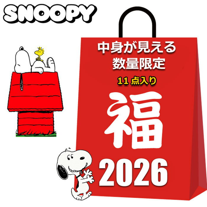 スヌーピー 福袋 2025 2026 中身が見える 11点入り クッション 水筒 保冷バッグ トートバッグ ブランケ..