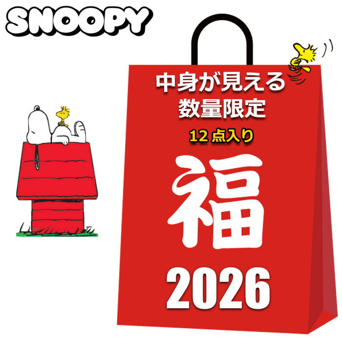 スヌーピー 福袋 2025 2026 中身が見える 12点入り クッション ブランケット メッセンジャーバッグ 保..
