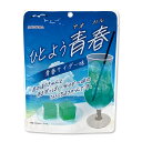 まとめ買い（10袋）【杉本屋製菓 ひとようアオハル 青春サイダー味 80g 10袋】なんとこれ、ひとくちようかんです 甘酸っぱい青春をモチーフにしたパッケージの、サイダー味 お子様のおやつや、弁当のデザートに 羊羹 ようかん 一口羊羹 お茶うけ