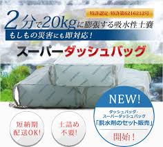 �����ѡ����å���Хå�DBW��02��20������