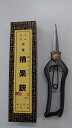 阿武隈川宗寛摘果鋏 No.503200mm 金止め