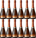 《12本セット》ウンドラーガ スパークリング ブリュット 750ml 12.5度 MW【誕生日プレゼント ワイン お酒 宅飲み お祝い お中元 ギフト お歳暮 スパークリングワイン チリ】