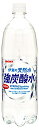 伊賀の天然水 強炭酸水 ペット 1L×12本 ケース △