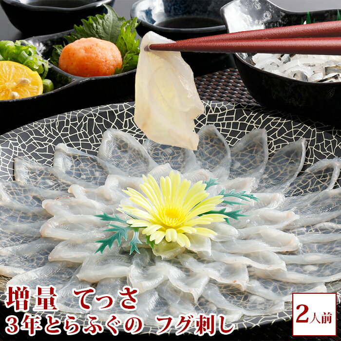 増量 活てっさ 3年とらふぐの フグ刺し (約2人前) お取り寄せグルメ ふぐ ふぐ刺し 淡路島3年とらふぐ 若男水産