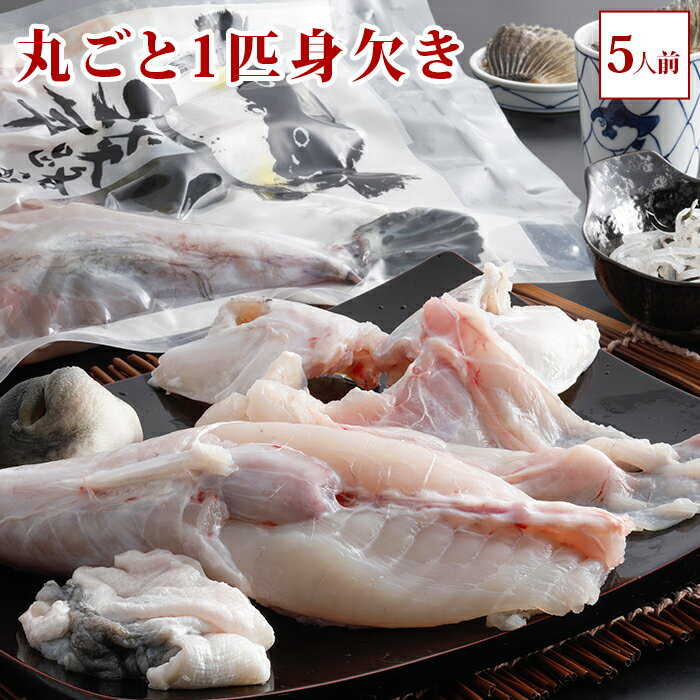 丸ごと1匹身欠き(元魚1.3kg:大きくなりました )鍋5人前 ふぐ鍋 3年とらふぐ 淡路島3年とらふぐ お取り寄せグルメ 鍋 …