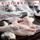 丸ごと1匹身欠き(元魚1.3kg:大きくなりました )鍋5人前 ふぐ鍋 3年とらふぐ 淡路島3年とらふぐ お取り寄せグルメ 鍋 若男水産