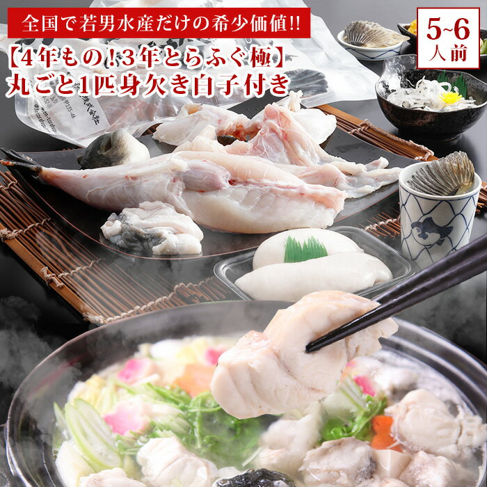 全国で若男水産だけの希少価値!! 【4年もの!3年とらふぐ極】丸ごと1匹身欠き白子付き!(大きくなりました!)約5人前 お取り寄せグルメ ふぐ
