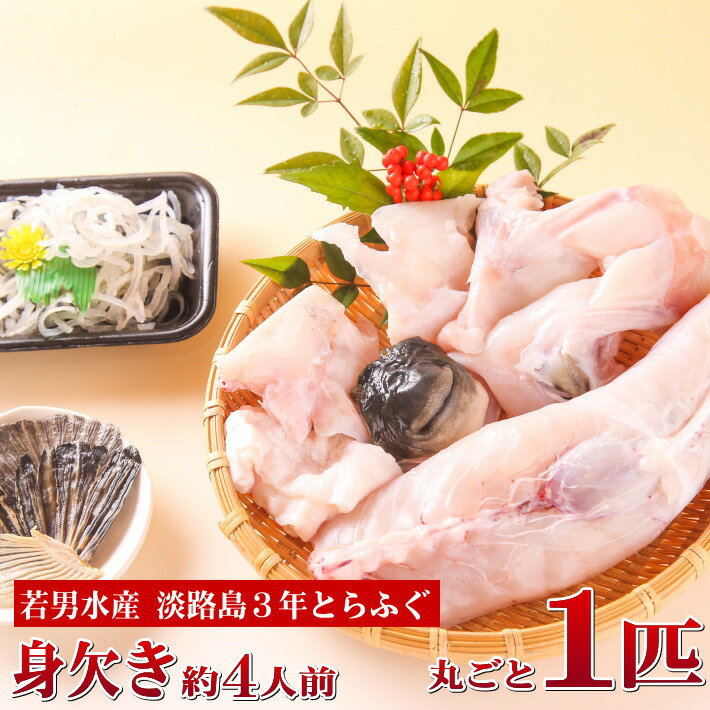 3年とらふぐ 丸ごと1匹身欠き(元魚1.