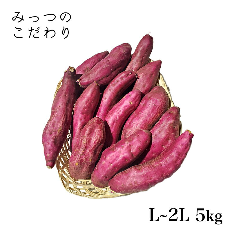 宮崎県産 さつまいも 宮崎紅 L～2L 5kg＊ランク　A【　】B【　】C【〇】サイズ混み サツマイモ 焼きいも スイートポテト 大学いも 新鮮 野菜 ベジタブル お取り寄せ まとめ買い