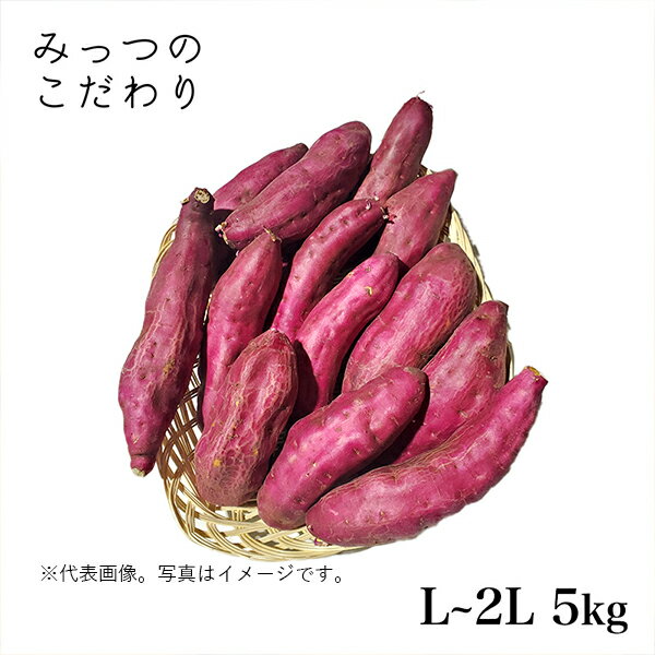 国産 さつまいも L～2L 5kg＊ランク　ABCサイズ混み サツマイモ 焼きいも スイートポテト 大学いも 新鮮 野菜 ベジタブル お取り寄せ まとめ買い