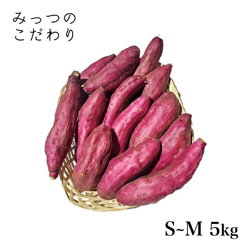 宮崎県産 さつまいも 宮崎紅 S～M 5kg＊ランク　A【　】B【　】C【〇】サイズ混み サツマイモ 焼きいも スイートポテト 大学いも 新鮮 野菜 ベジタブル お取り寄せ まとめ買い