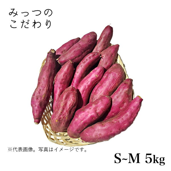国産 さつまいも S~M 5kg*ランク A【 】B【 】C【〇】サイズ混み サツマイモ 焼きいも スイートポテト 大学いも 新鮮 野菜 ベジタブル お取り寄せ まとめ買い