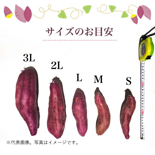 国産 さつまいも L～2L 5kg＊ランク　A【　】B【　】C【〇】サイズ混み サツマイモ 焼きいも スイートポテト 大学いも 新鮮 野菜 ベジタブル お取り寄せ まとめ買い