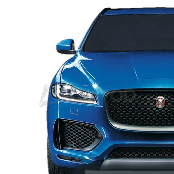 楽天市場】ジャガーxe デイライトの通販 楽天市場】ジャガーxe デイライトの通販