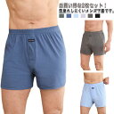 2枚セット 無地 男性用 前開き インナー 男の子 メンズ パンツ 下着 シンプル ボタン付き 柔らかい 作業着 アンダーウェア 大きいサイズ 吸汗速乾 父の日 スーツ トランクス(4)
