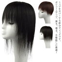 部分 ウィッグ 人毛100% 医療用ウィッグ 総手植え ミセス 自然 部分かつら 薄毛 増毛 つけ毛 白髪隠し ストレート トップカバー ヘアピース 医療用 か...