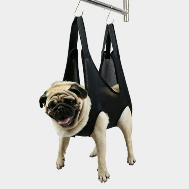 �ڥå� �ȥ�ߥ� �ϥ��å� ��ǭ ���� �ϥ��å� �ڥå����� ���롼�ߥ� �ͥ� ���� �ߤ�夲 �ϥ��å� �ϡ��ͥ� ˽���ɻ� ���ڤ� �����ס� ���ݽ� ���� ��«�Хå� ����̵�� �̵��� ���� �ڥåȥ����� �ڥå����� ������ ǭ ����̵��