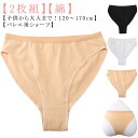 アンダーショーツ ハイレグ 子供 パンツ 大人 キッズ バレエ バレエ用 はみ出ない 2枚組 ショーツ 綿 コットン インナー インナーパンツ 下着 バレエ用品...