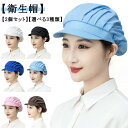 【2個セット】キッチン 衛生帽 メッシュ つば付き 衛生キャップ 調理用帽子 作業帽子 通気性 食品工場 厨房 キッチン帽子 洗濯可能 フリーサイズ 男女兼用 ...