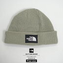 【メール便対応】THE NORTH FACE ザノースフェイス ニットキャップ メンズ カフニット TNF SALTY DOG BEANIE NF0A3FJW B系 ファッション メンズ ヒップホップ ストリート系(4)