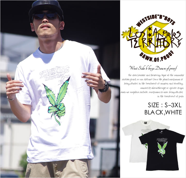 樂天商城 - 【メール便対応】DOP ディーオーピー tシャツ 半袖 メンズ B系 ファッション メンズ ヒップホップ ストリート ストリート系 ウェア HIPHOP ダンス 衣装