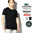 【メール便対応】LACOSTE ラコステ t