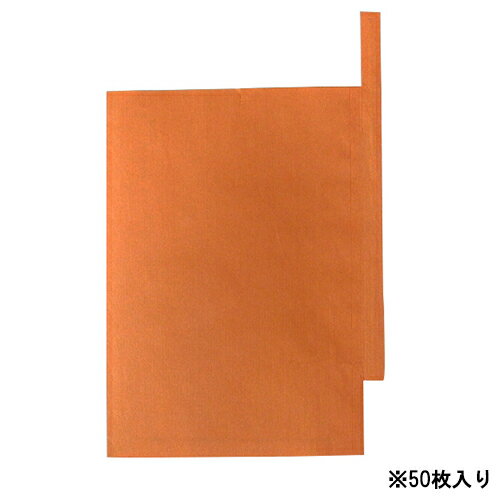 一色本店 果実袋びわ K-1 50マイイリ