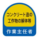 TOYO ヘルメット用シール NO.68-020 【