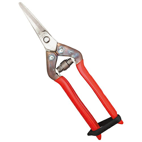 チカマサ　オールステンレス収穫鋏　曲刃　T-55SR