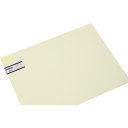 光 エンビ板 アイボリー 0.5×450×600mm (1枚) 品番:EB455-21