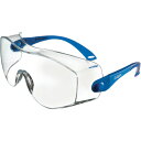 Drager 保護メガネ“X-pect 8120“ (1Pk) 品番:R58248