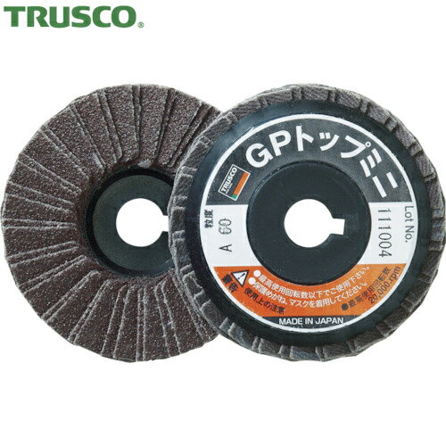 TRUSCO(gXR) GPgbv~j 58Xa9.6mm (5) #100 100# (1) iԁFGP5810 100